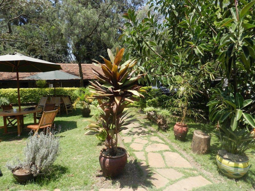 Hibiscus Guest House Nairobi Exterior photo