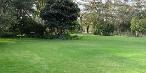 Hibiscus Guest House Nairobi Exterior photo